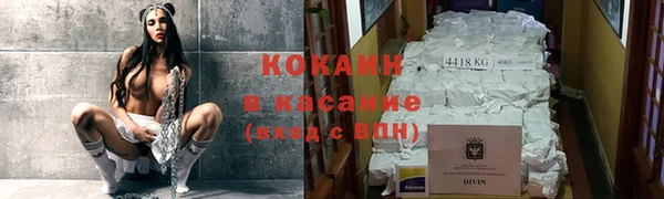 трава Аркадак