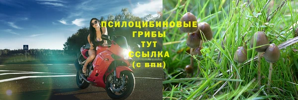 герыч Арсеньев
