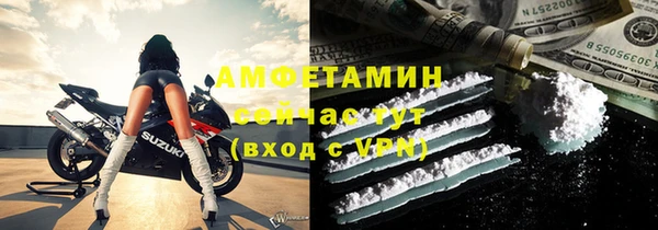 трава Аркадак