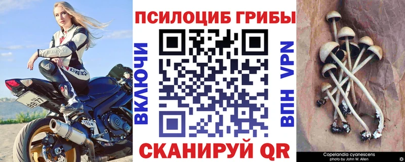Галлюциногенные грибы ЛСД  Приволжск 